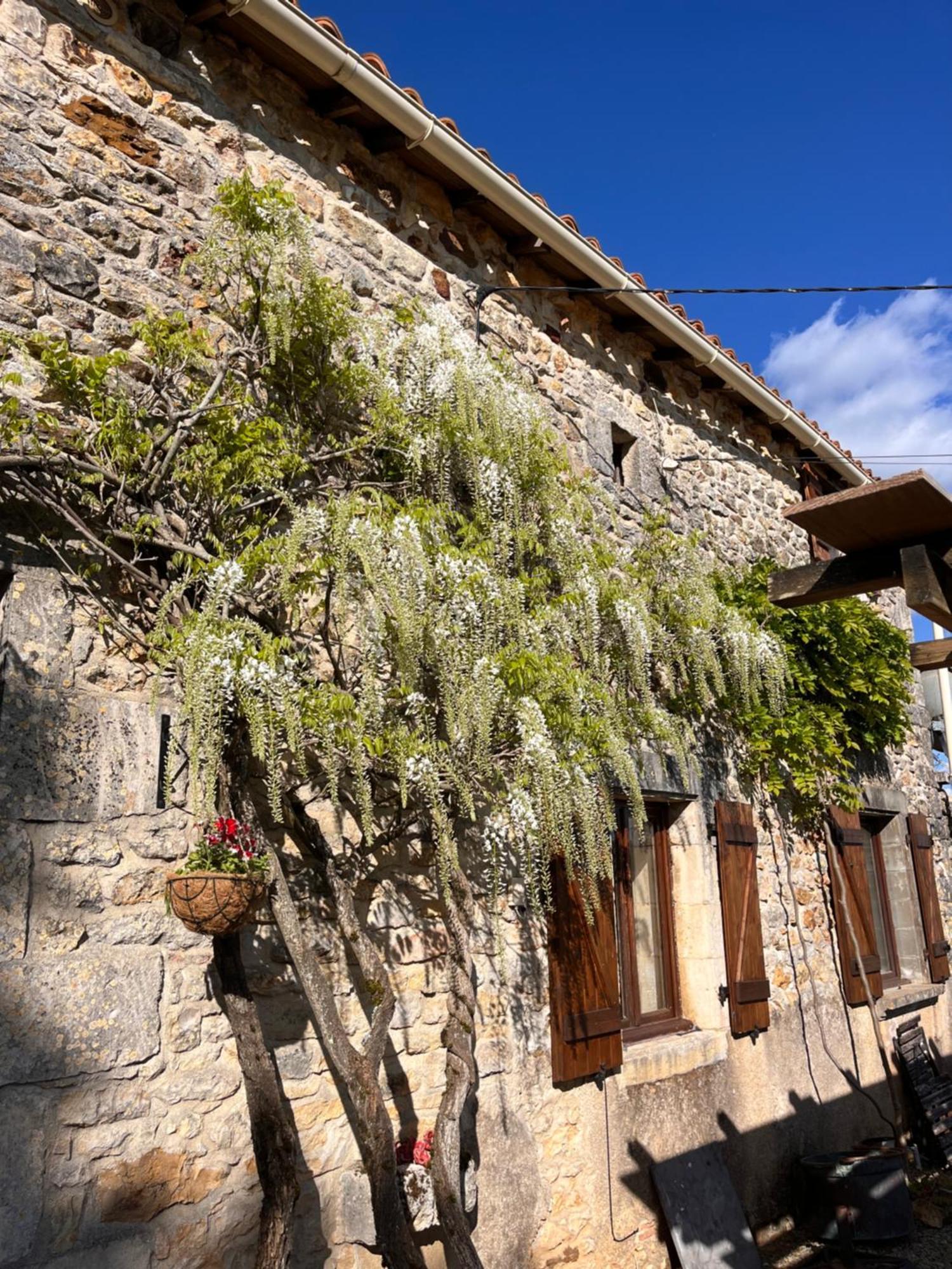 Апартаменты Le Plantier 1 Beaulieu-sur-Sonnette Экстерьер фото